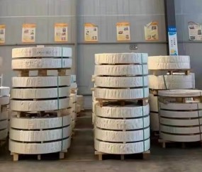 拜登夫婦迎接特朗普：歡迎回家